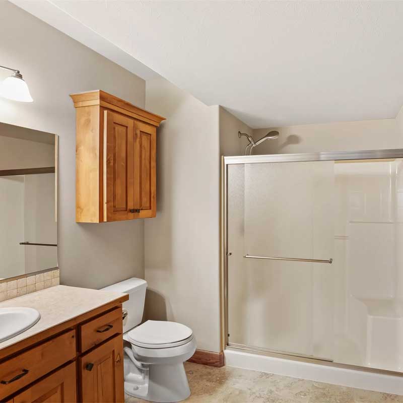 Vineyard Utah Basement Bathroom